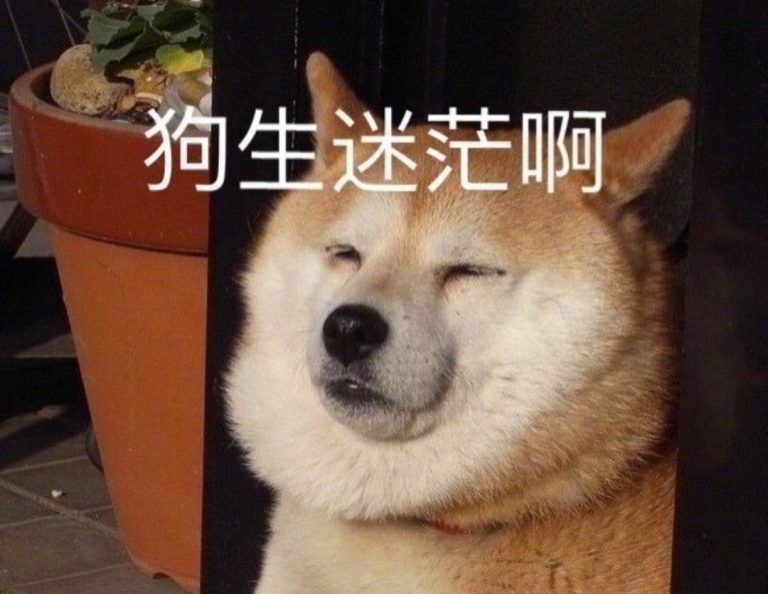 做狗,做谁的狗,这是一个问题,值得思考。日本网友就日本该做谁的狗吵起来了。