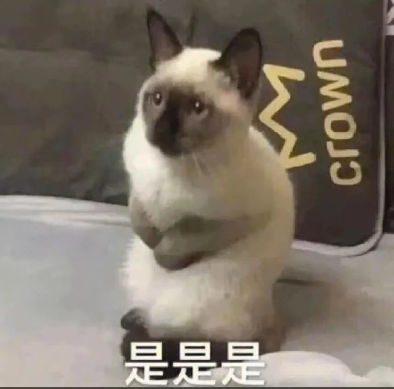 低头听训 !日本紧急来华官员边走边听中方讲话,理亏者心虚 !