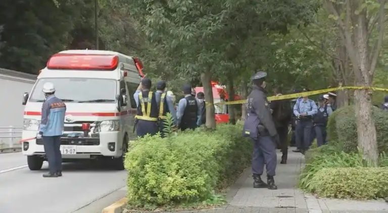 特朗普即将访日 美驻日使馆附近发生持刀袭警事件