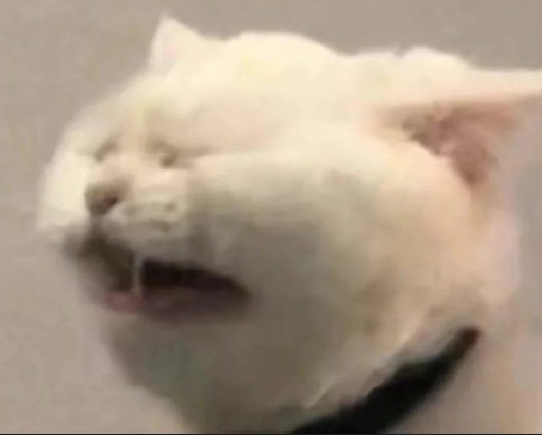 欺负特朗普 ?阻止八场战争,就是不给你诺贝尔和平奖。