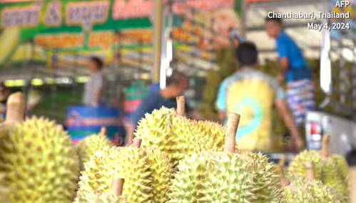 为争取中国榴莲市场,越南“又争又抢”,剑指泰国