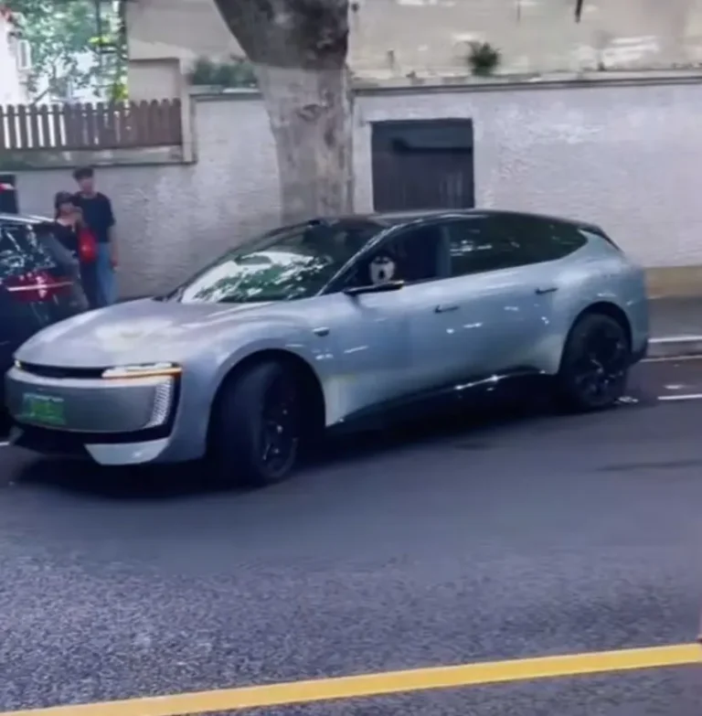 司机让宠物狗坐主驾自动泊车,警方罚200元记3分